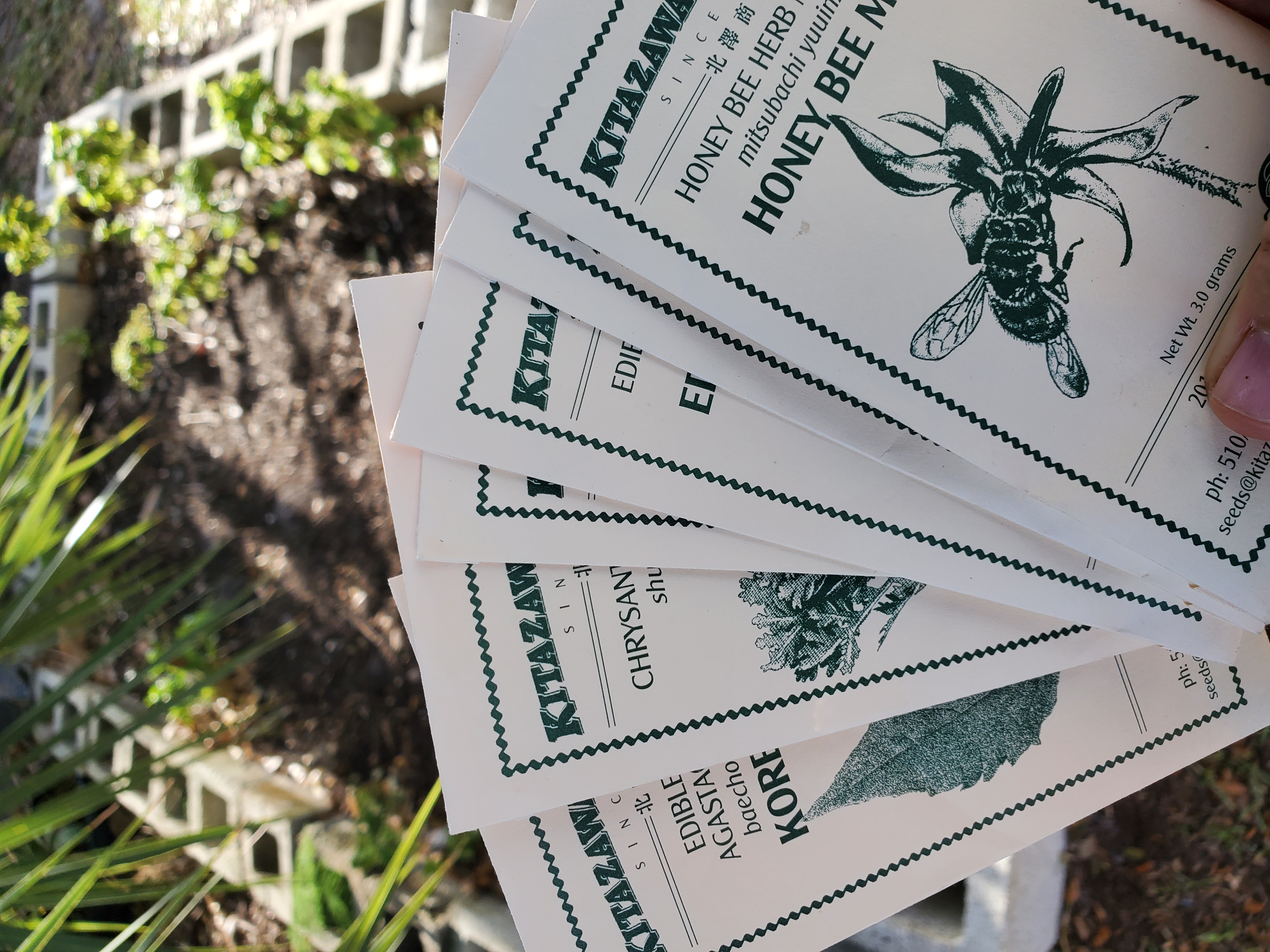 Seed packets in front of my container garden