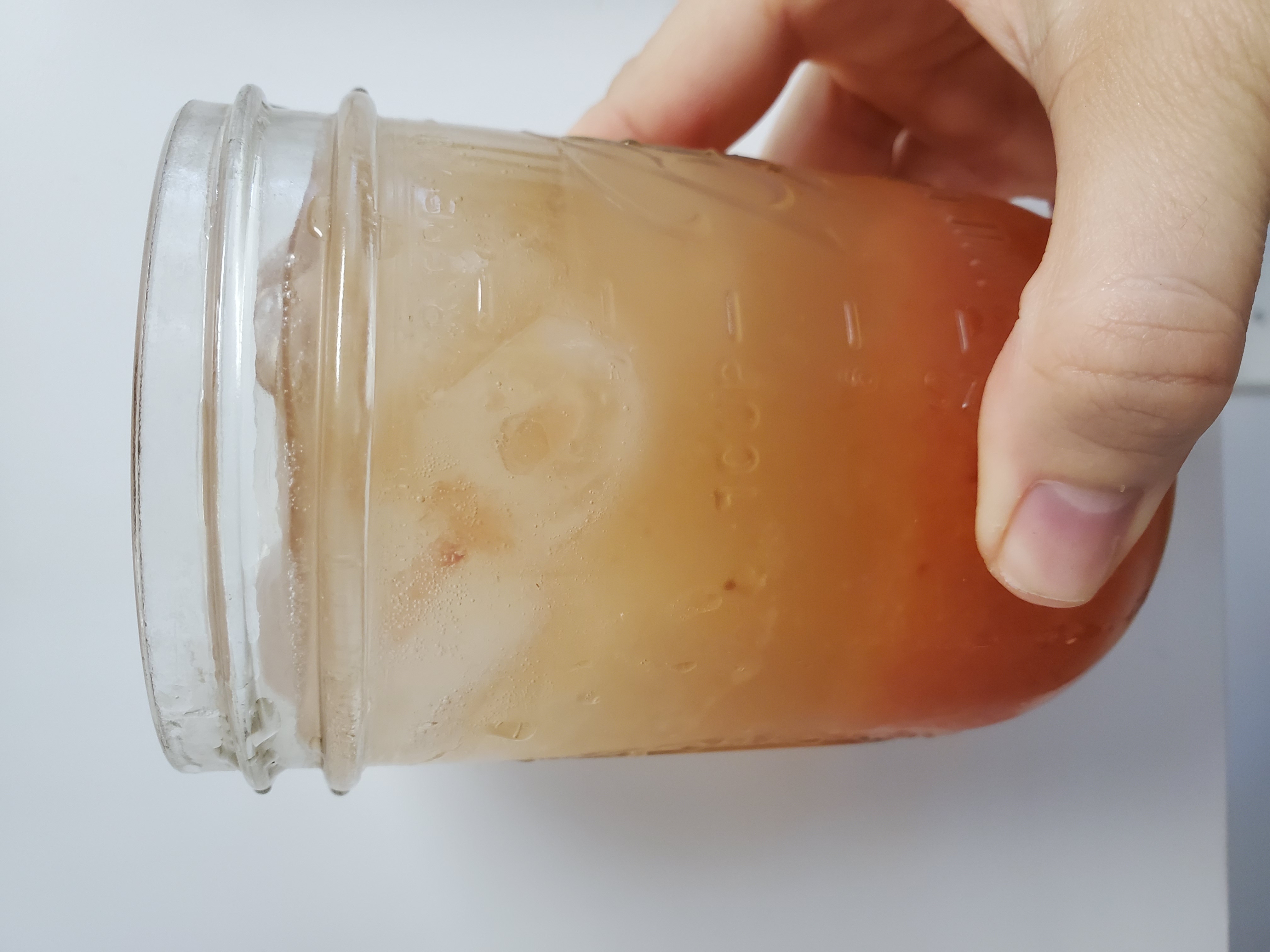 kombucha mocktail