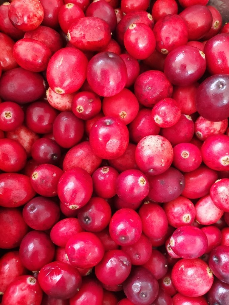 cranberries up close