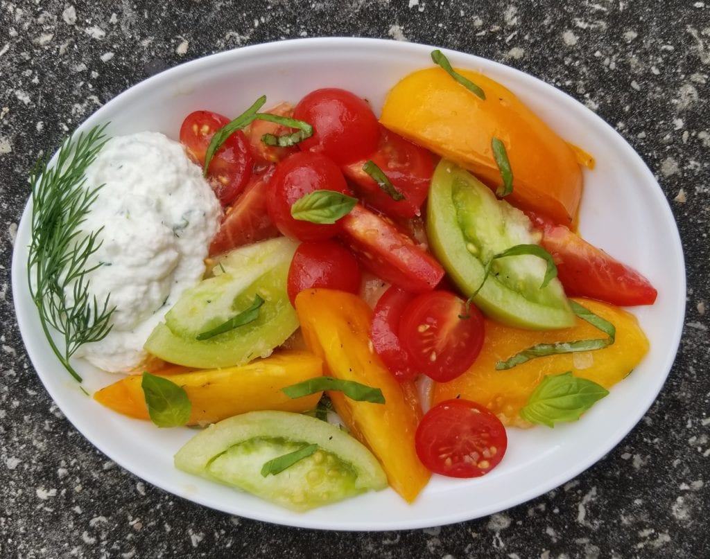 Homemade Ricotta with cut tomatoes and julienned basil