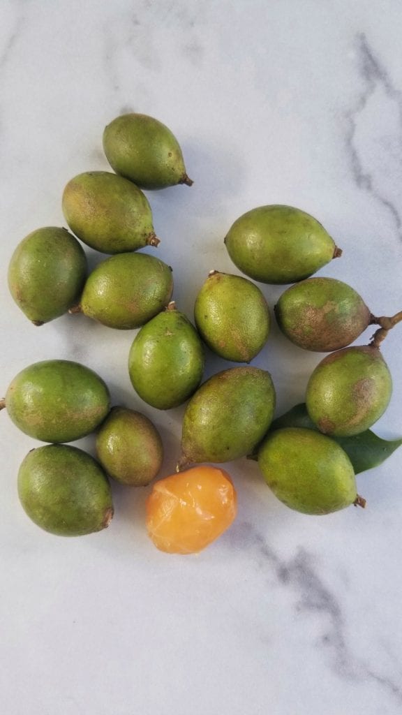 mamoncillo fruit