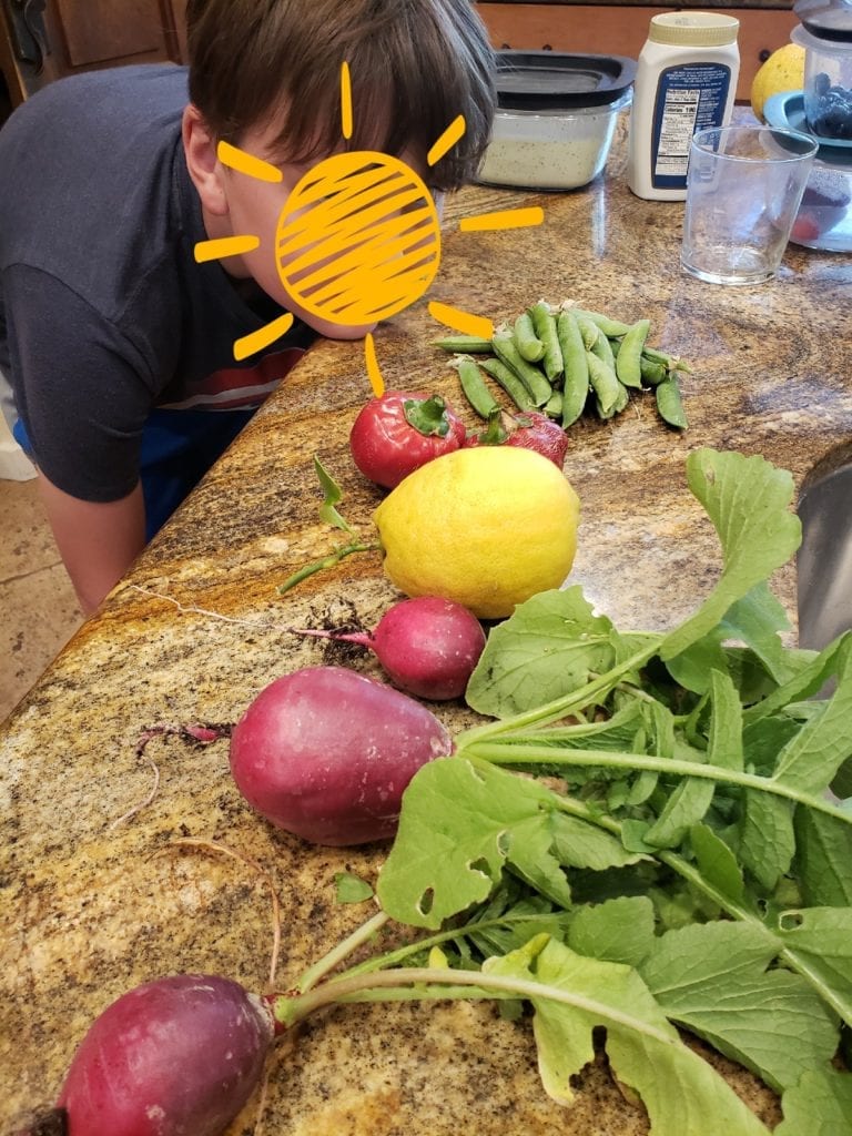 nephew looking at fruits and veggies from his garden on the counter