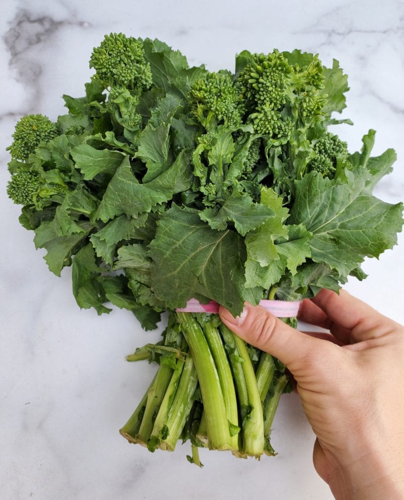 Broccolini