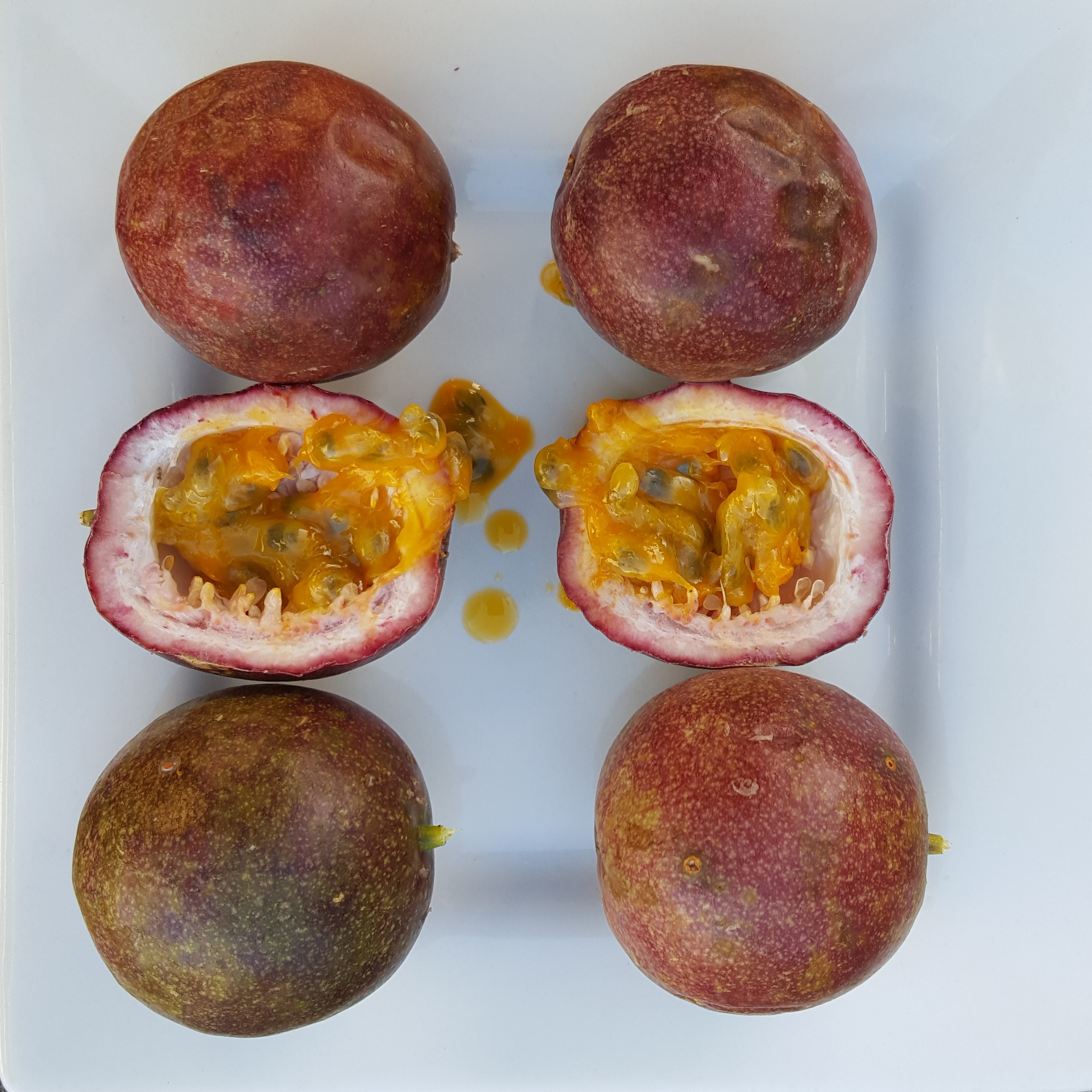 passion fruit