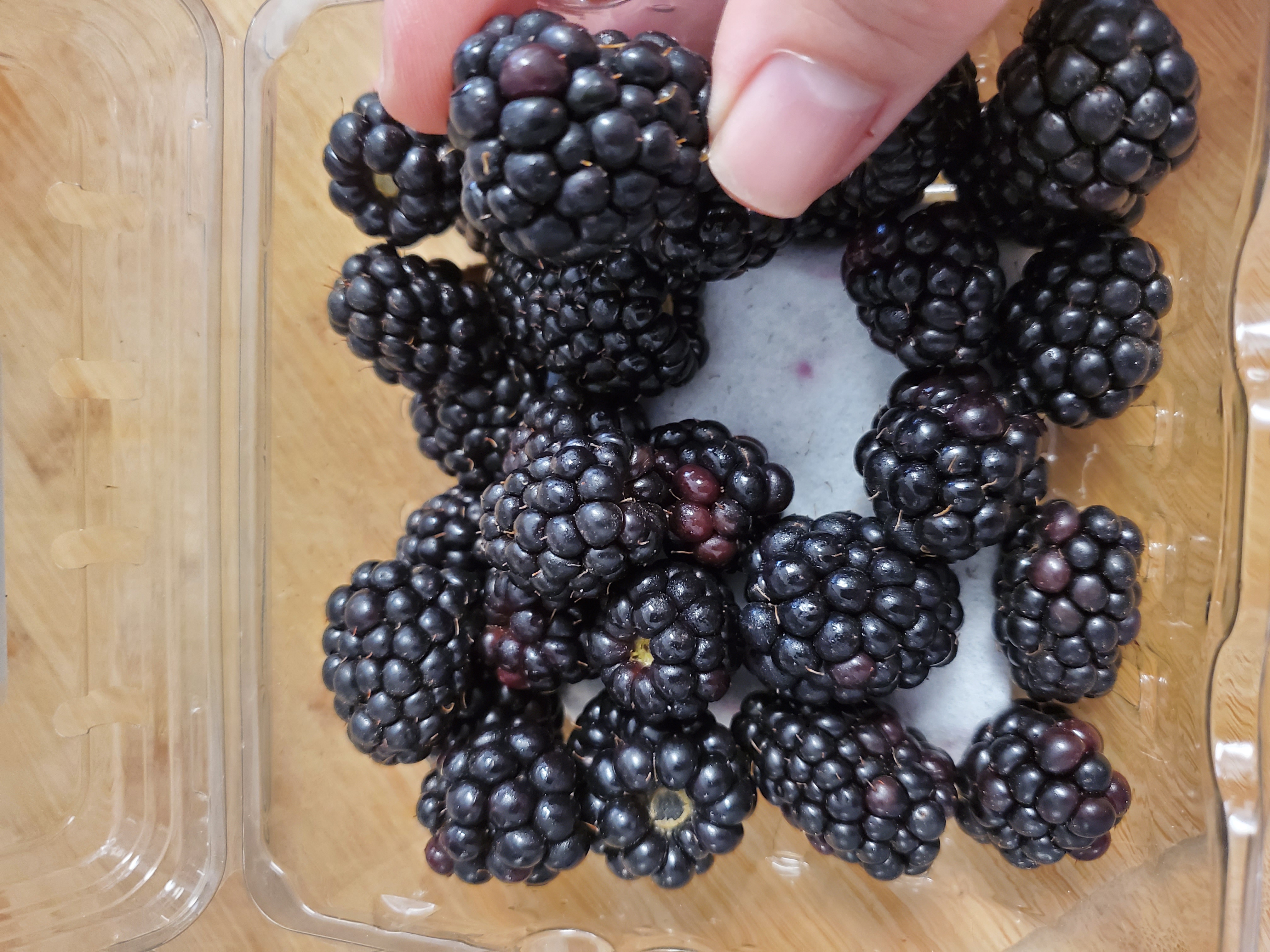 container of fresh blackberries