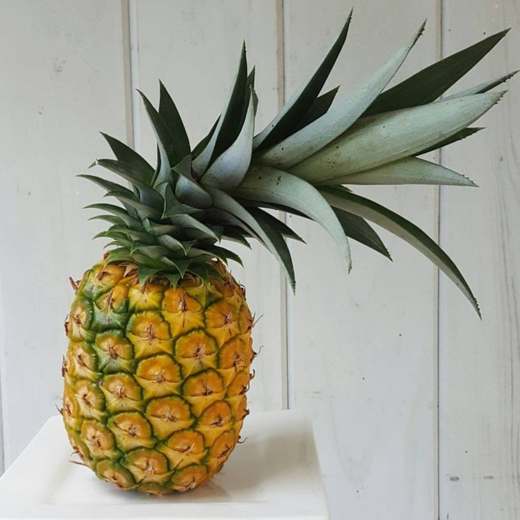 pineapple