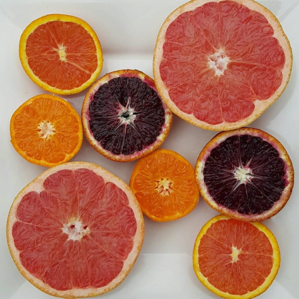 Winter Citrus Slices - Cara Cara Orange, Blood Orange, Clementine, and Grapefruit