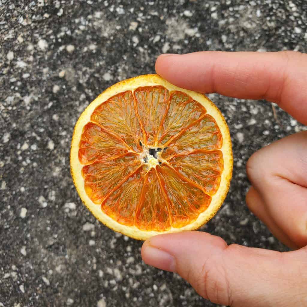 Dried Orange in my hand close up