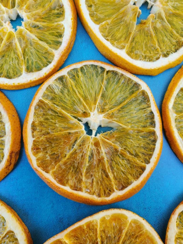 Dried Orange Slice Up Close Turquoise Background