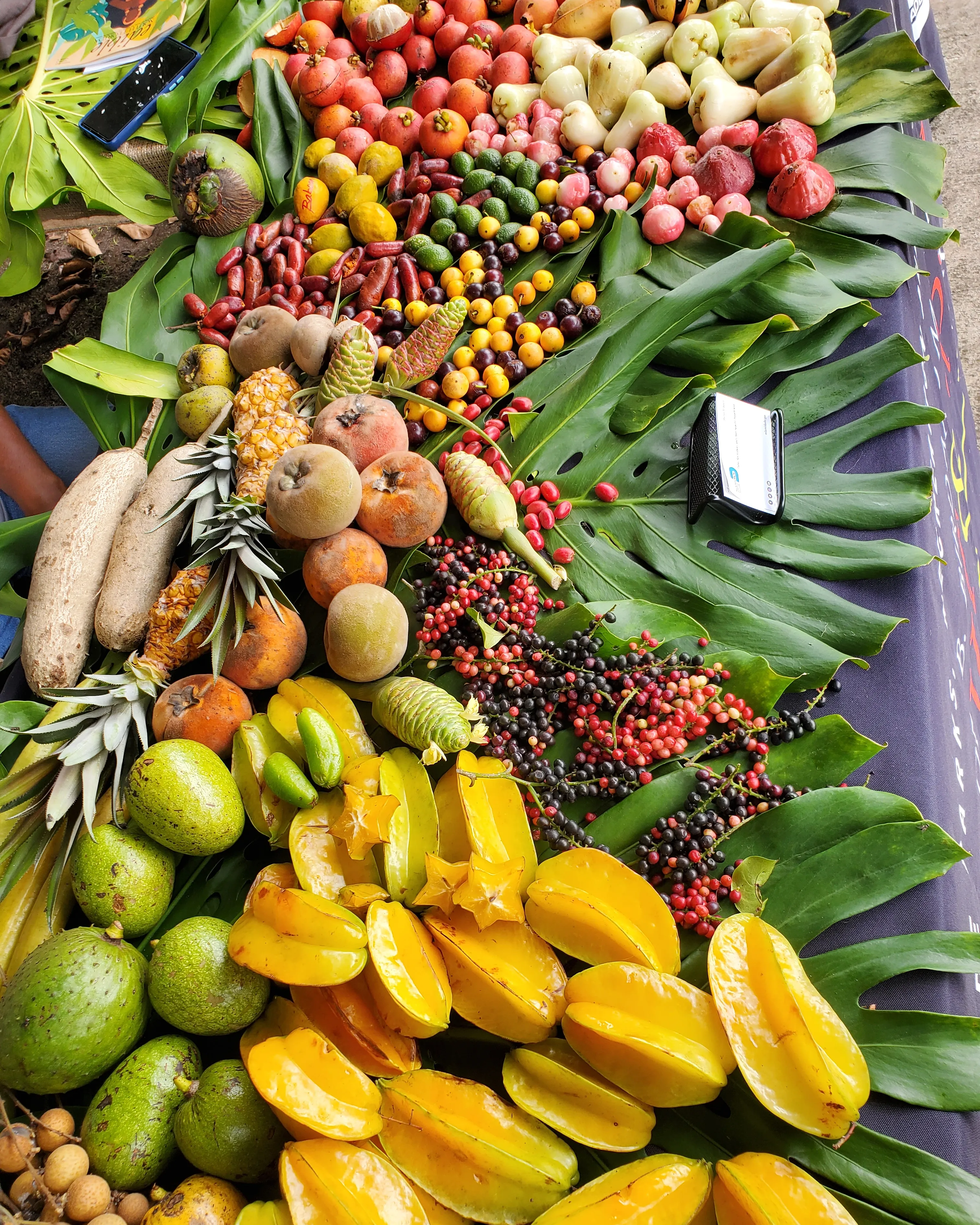 Display of exotic tropical fruit