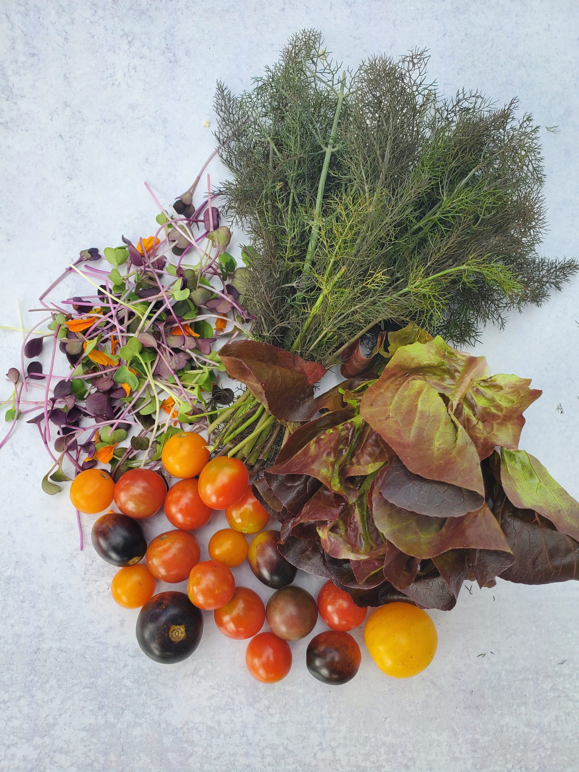 heirloom grape tomatoes, leaf lettuce, edible flowers, dill
