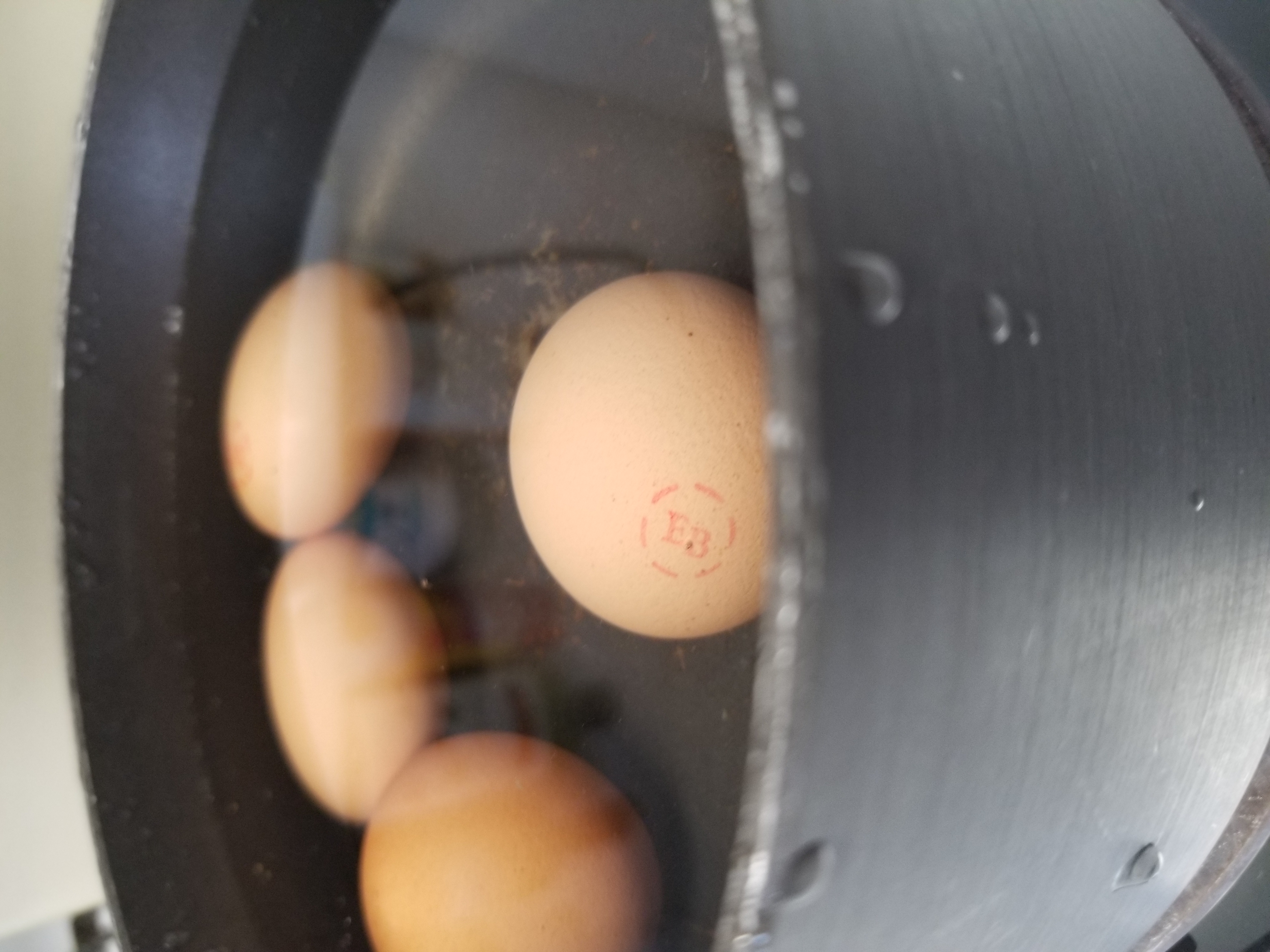 Pot of water to hard boil eggs