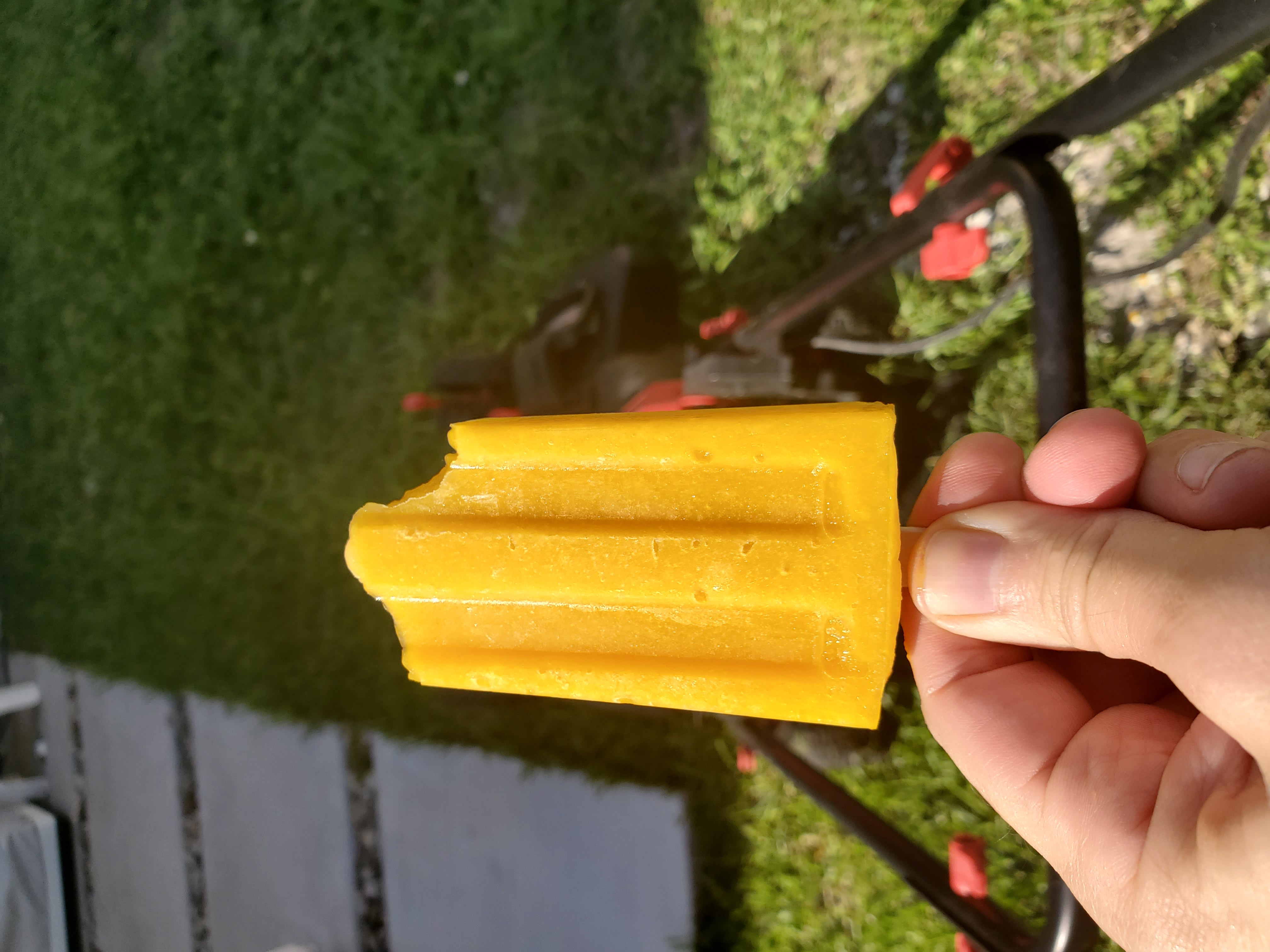 Mango Popsicle while mowing the lawn