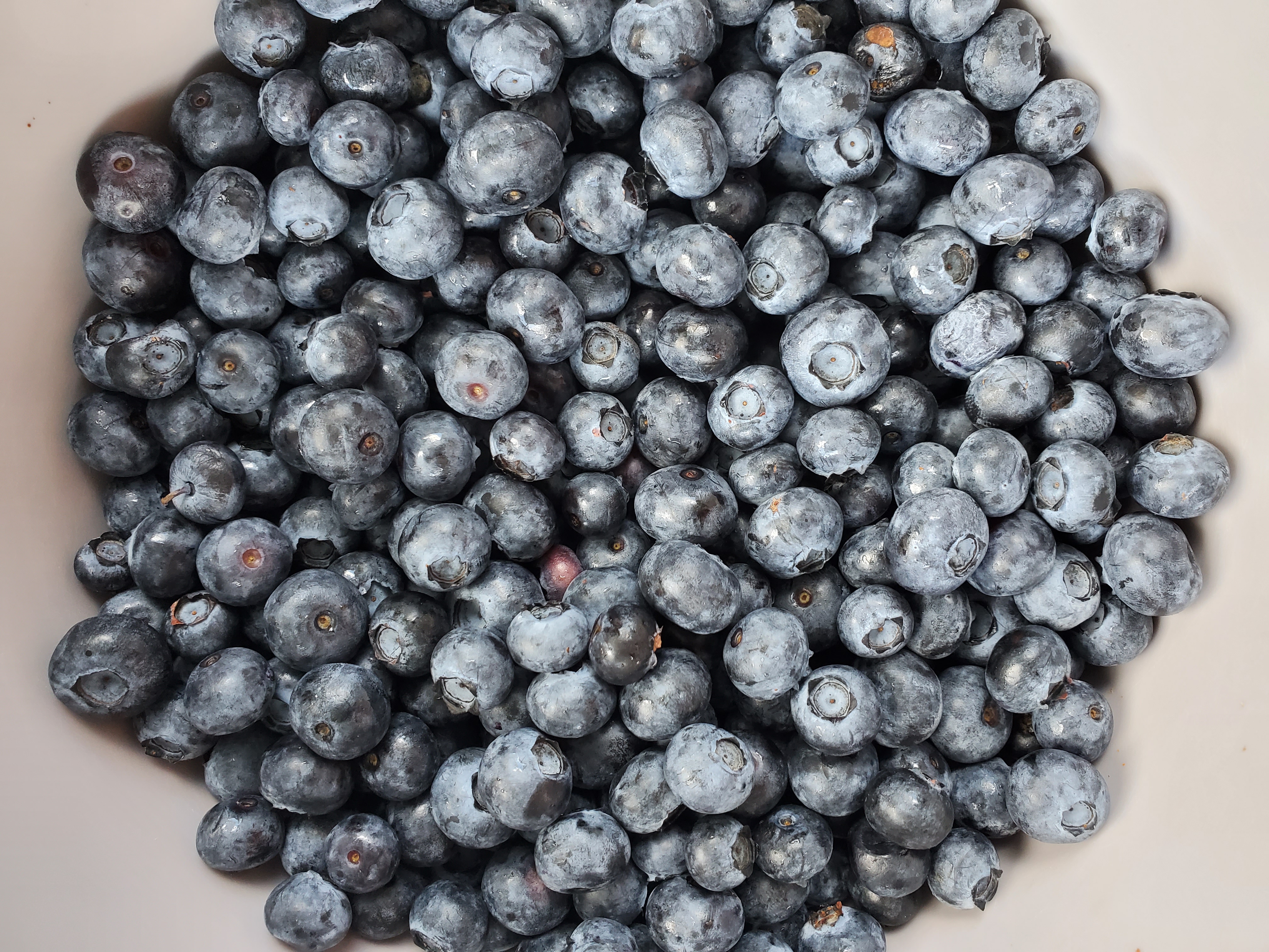 bowl of blueberries