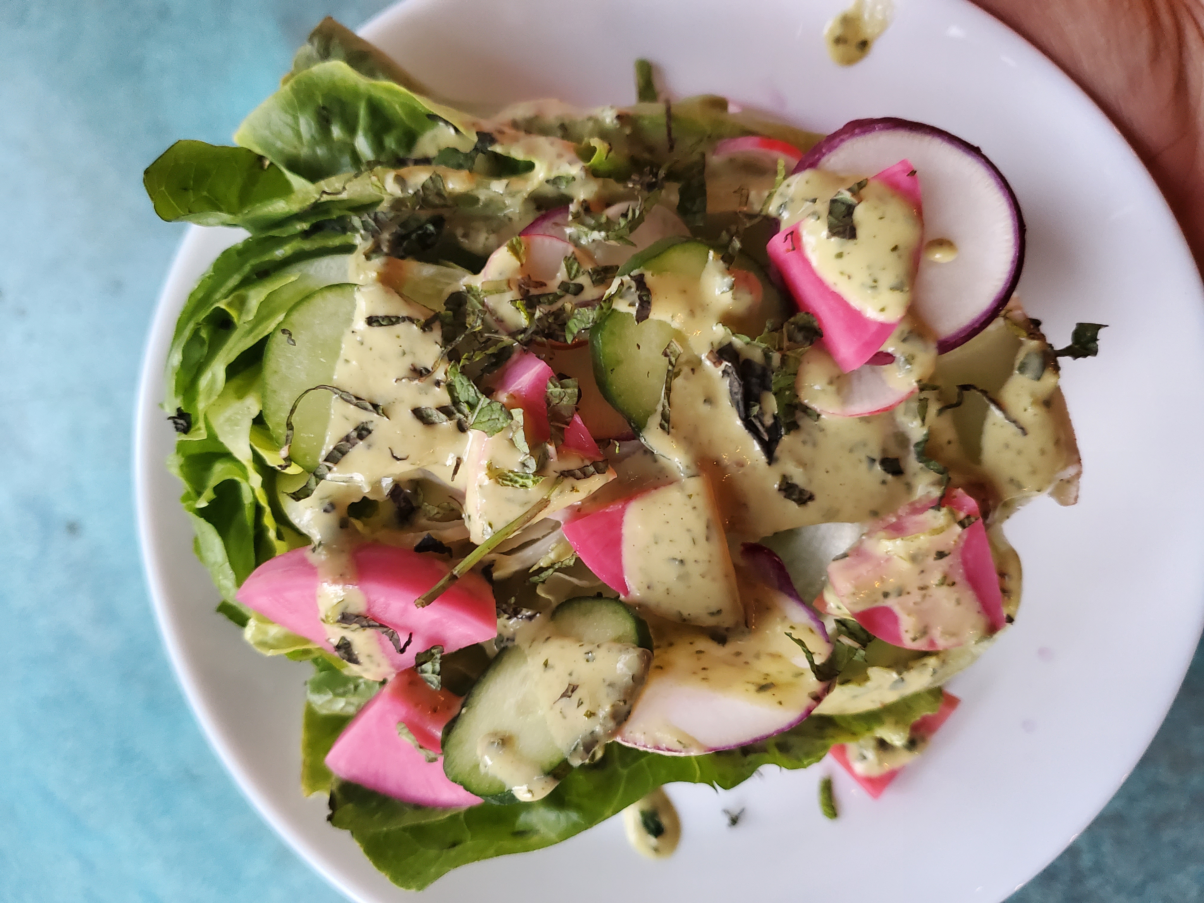 Farm To Table Dinner - Up Close Salad Greens with Radish and Dressing Drizzled on Top