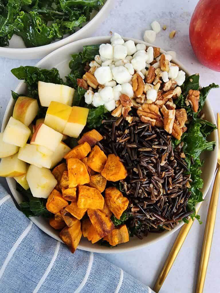 kale, wild rice, roasted sweet potatoes, cut apple chunks, goat cheese, and balsamic vinaigrette on a plate