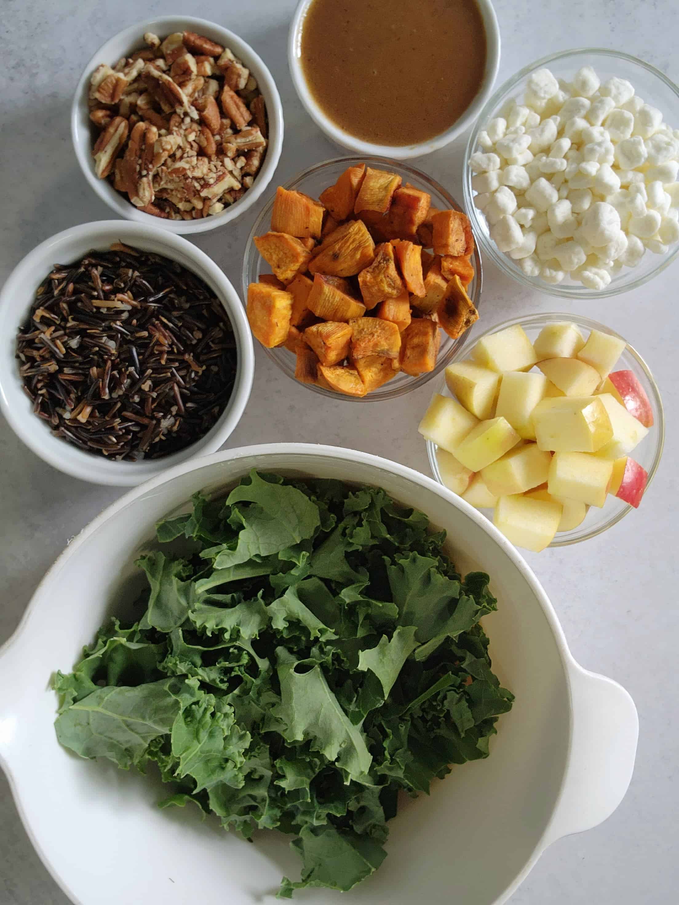 ingredients in bowls:  kale, wild rice, sweet potato, pecans, goat cheese, apple chunks, balsamic vinaigrett
