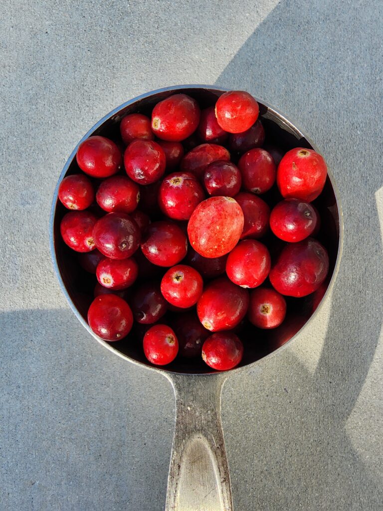 Cranberries in a measuring cup