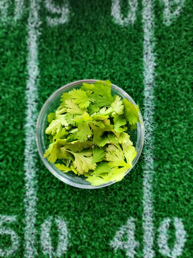 How To Set Up A Chili Bar - Topping - Bowl of Cilantro