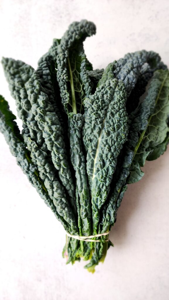 Bunch of Lacinato Kale