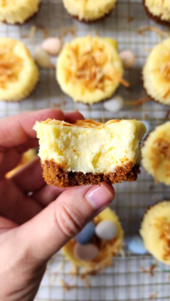 top shot of a mini cheesecake with a bite taken out