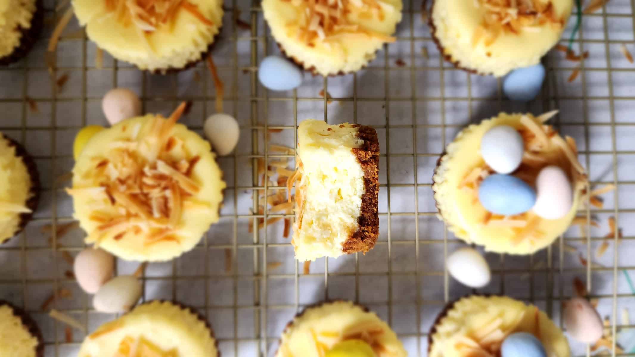top shot of mini cheesecakes on a cooling rack with one cheesecake facing up with a bite taken out