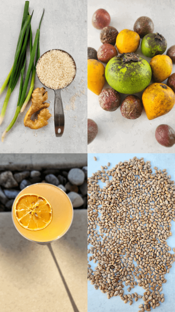 pic collage of cultural foods, tropical fruit, kombucha for gut health, and beans for plant protein