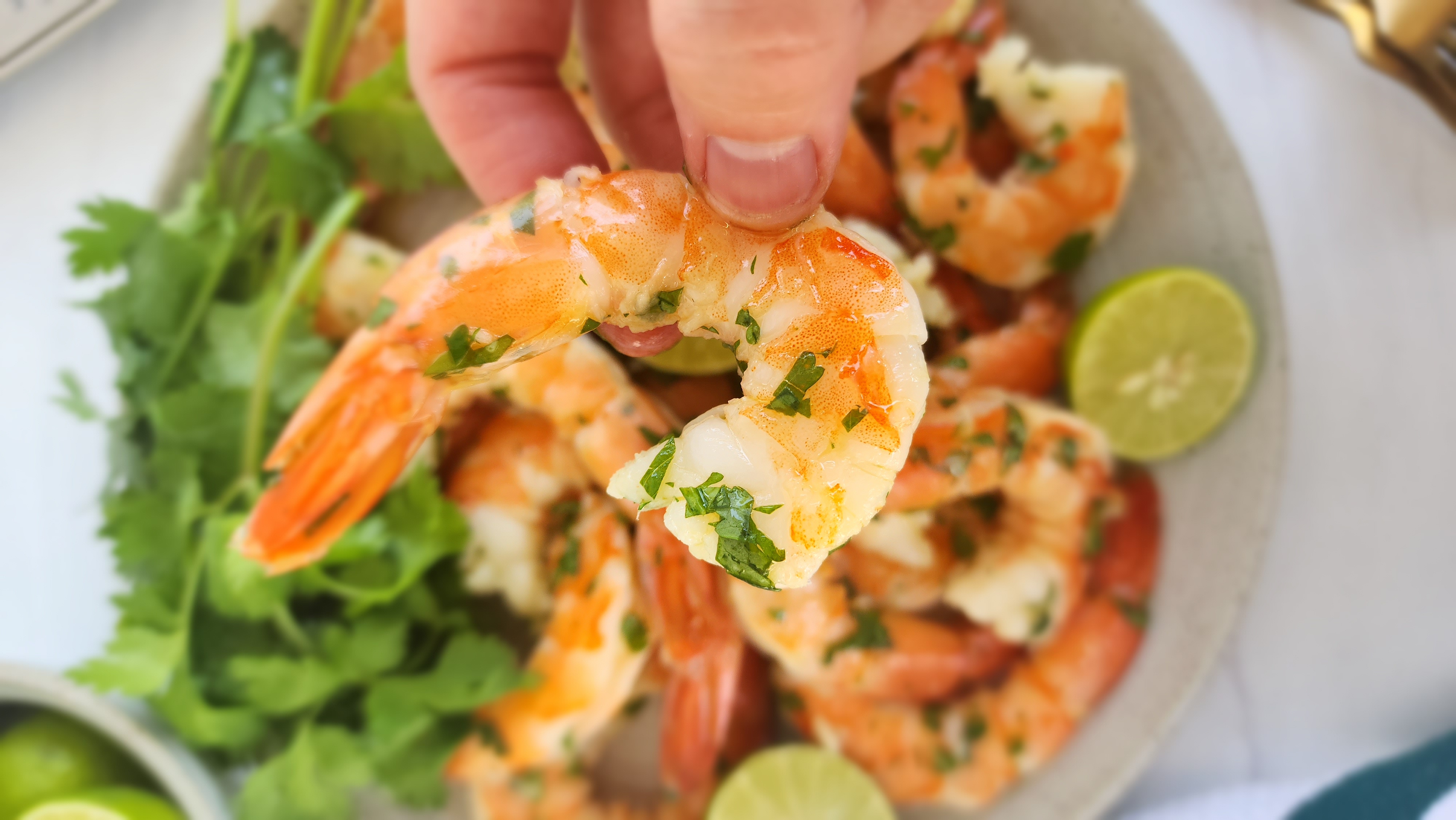 one piece of Key Lime Shrimp handheld up close