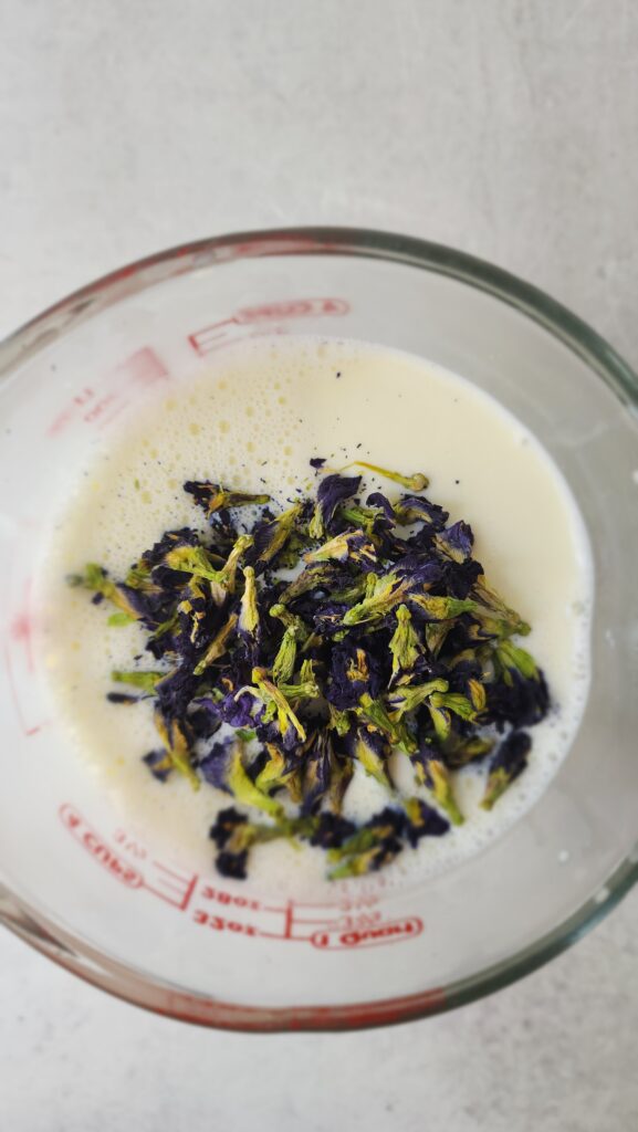 butterfly pea flowers steeping in milk