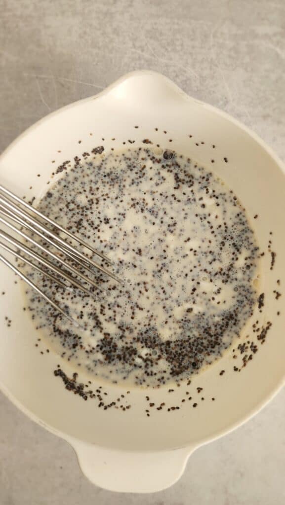 whisking in the chia seeds for Greek Yogurt Chia Seed Pudding