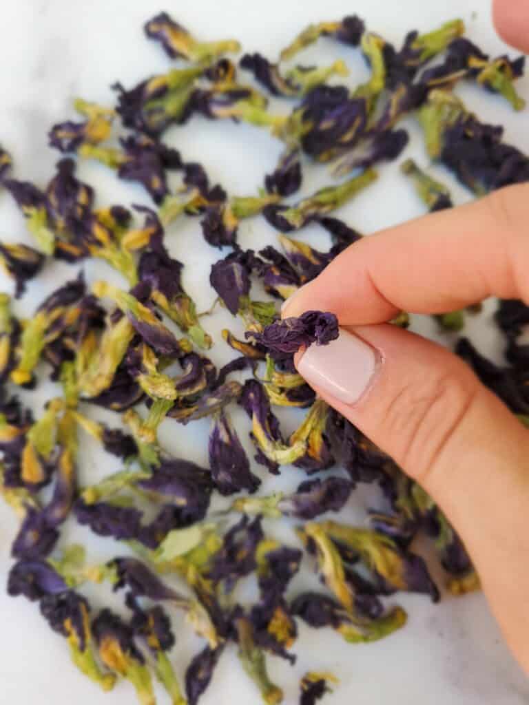 butterfly pea flowers