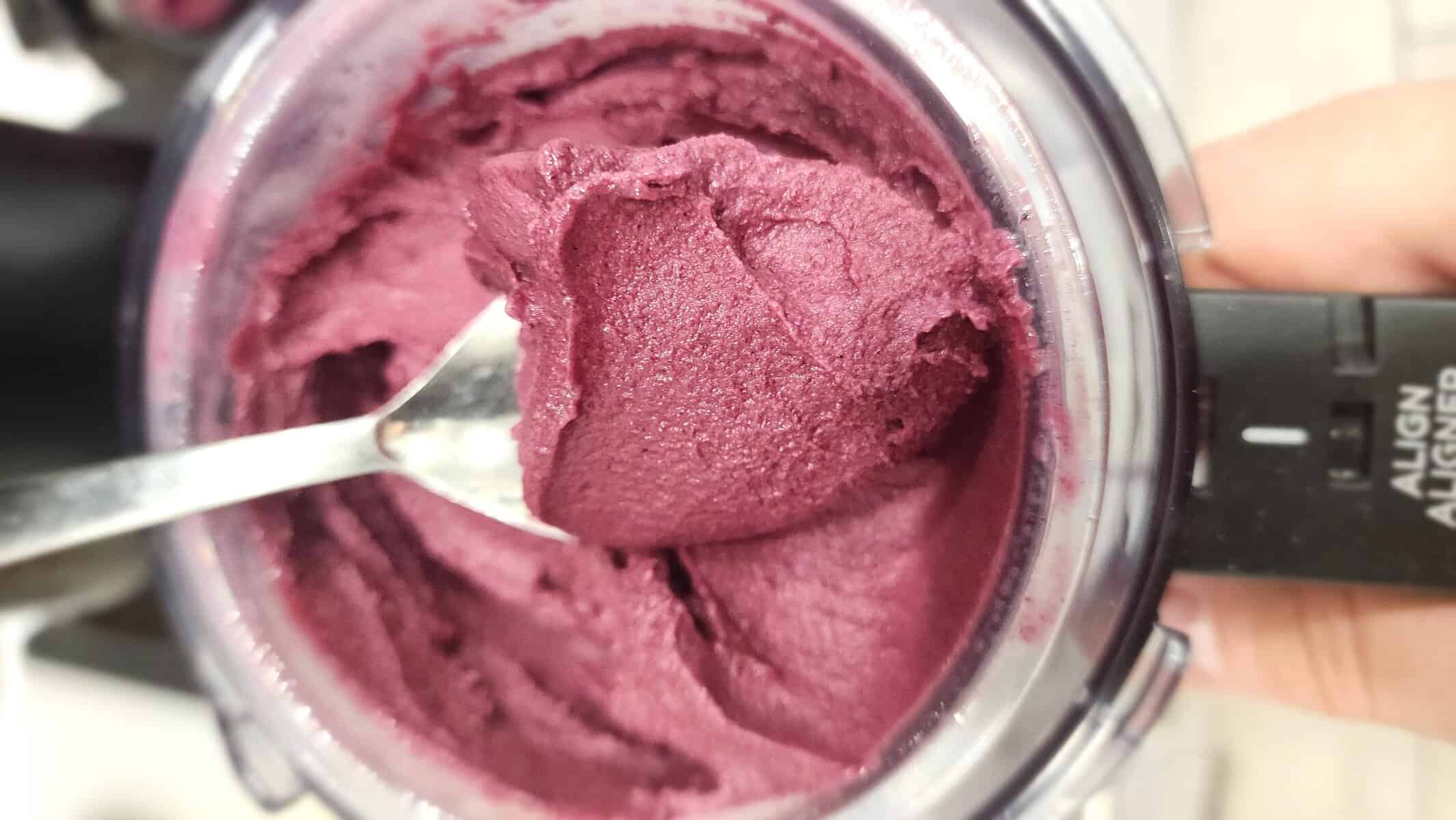 frozen blueberry yogurt in the Ninja Creami