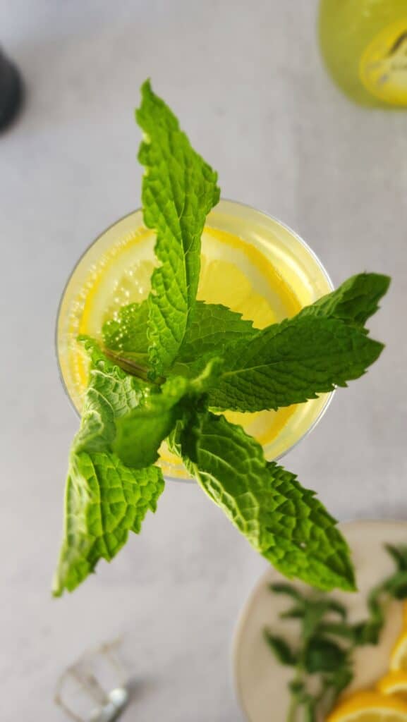 top shot of a glass of limoncello spritz with the mint leaves as a garnish