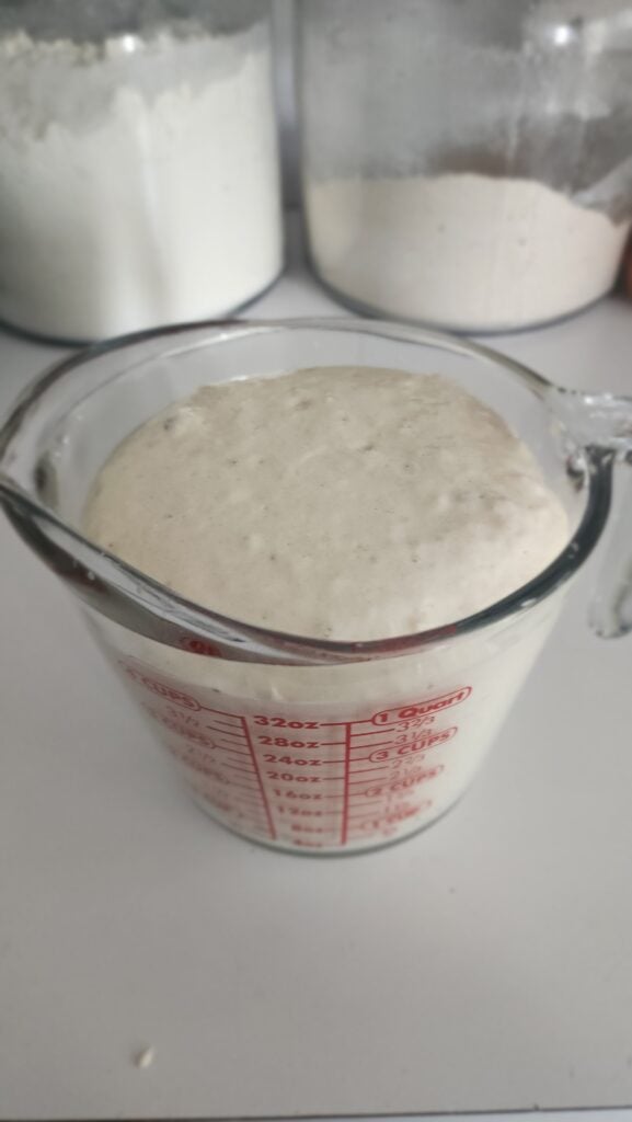 side shot of a measuring glass with my sourdough starter rising