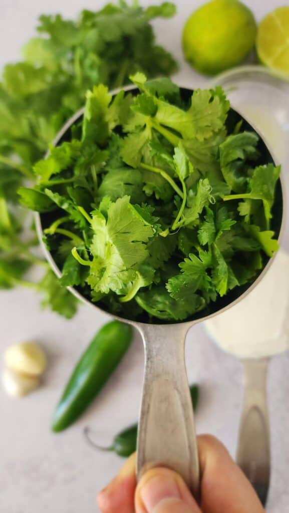 cup of cilantro for cilantro jalapeño sauce