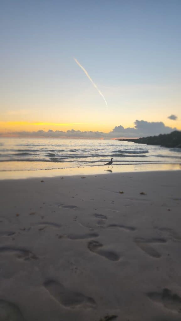 sunrise in Miami Beach for Nutrition Trends 2026