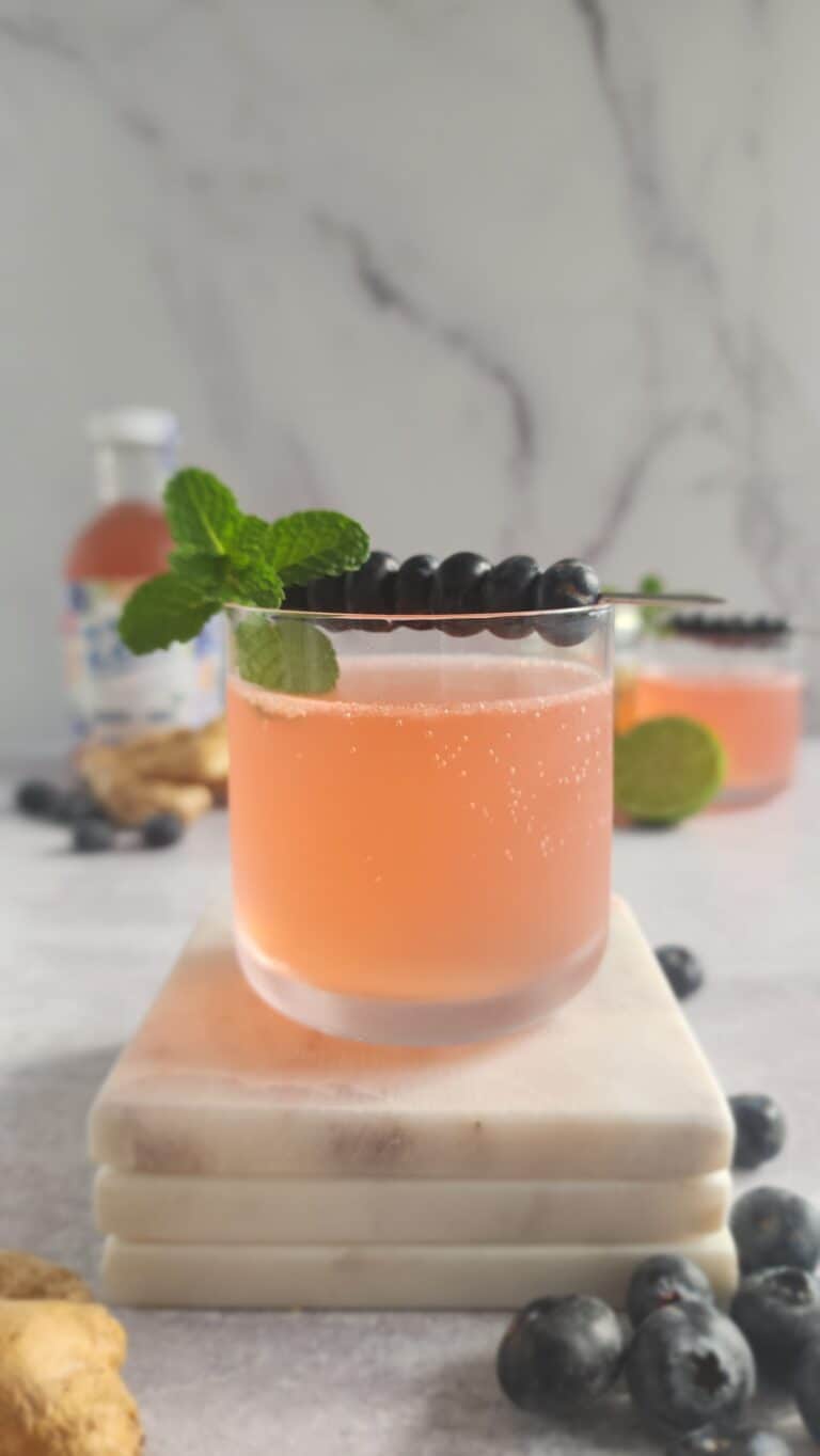 Blueberry Ginger Mocktail