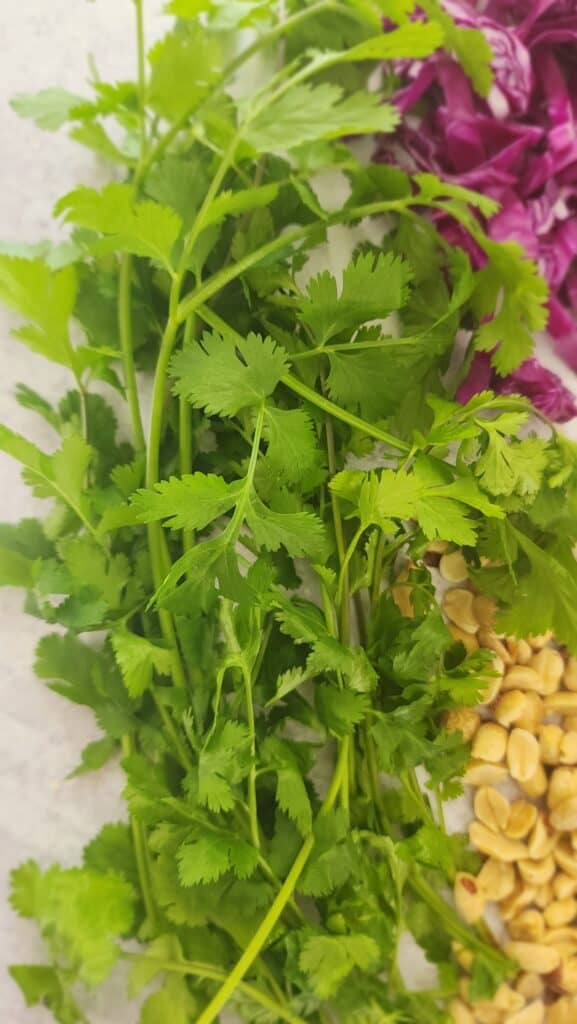 cilantro