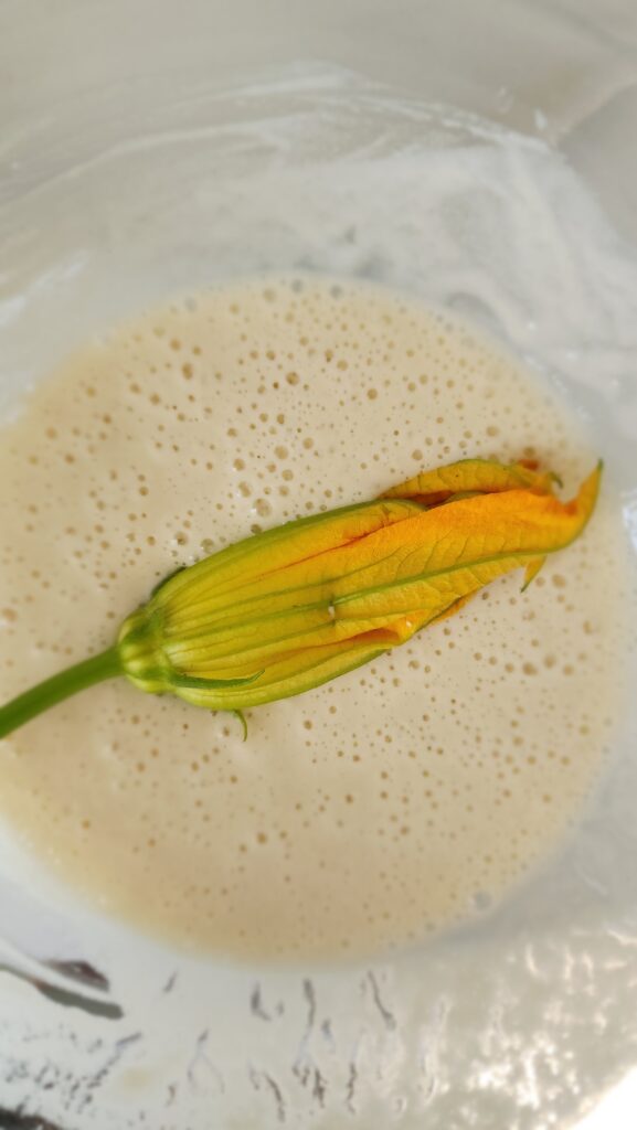 a squash blossom being dredged in the flour mixture