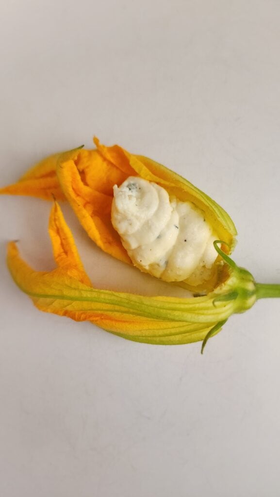 a squash blossom filled with the ricotta filling