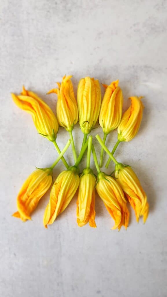 squash blossoms