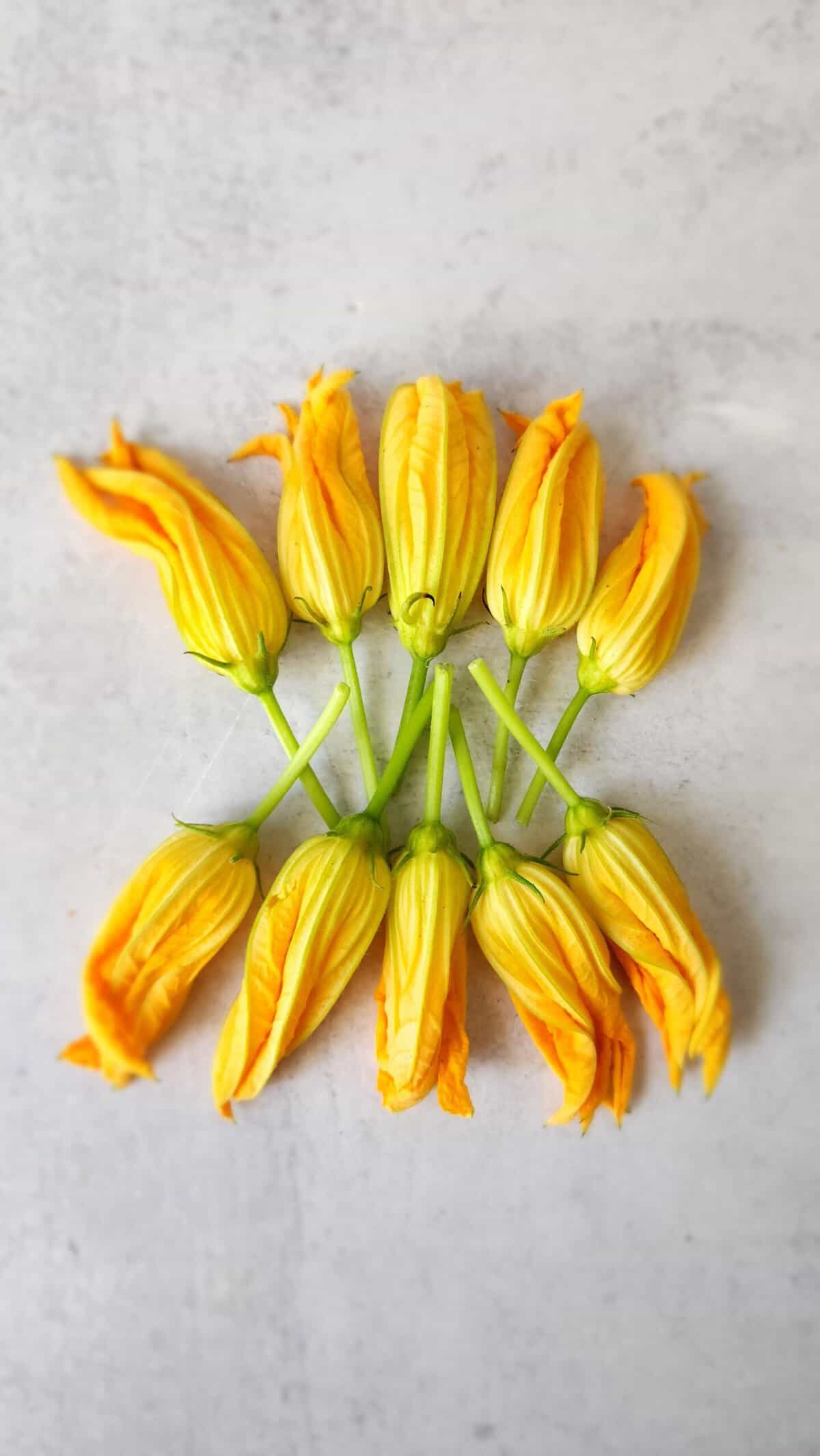 squash blossoms