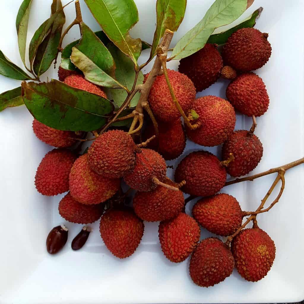 a bunch of lychees