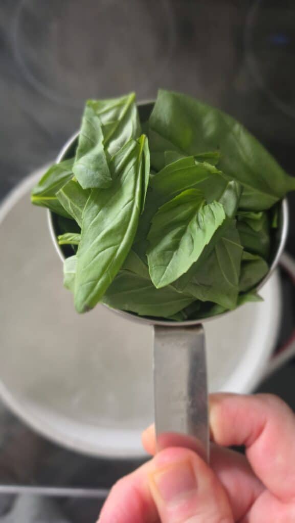 cup of basil about to blanch for basil oil