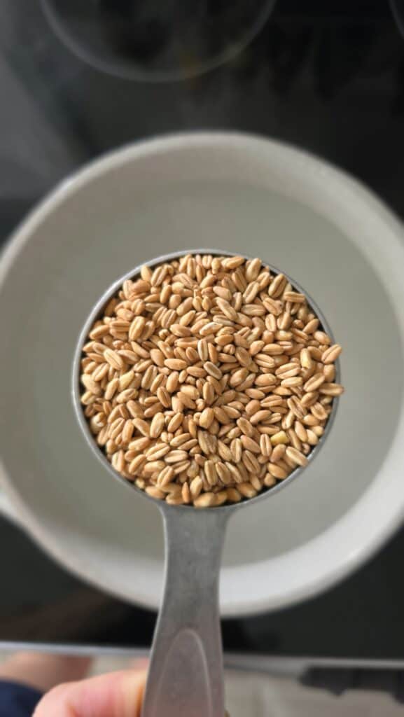 boiling farro to cook it